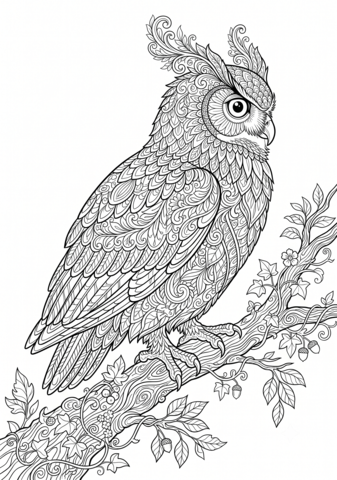 ミミズクのぬりえ 無料印刷